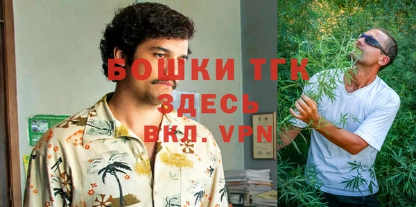 стаф Майский