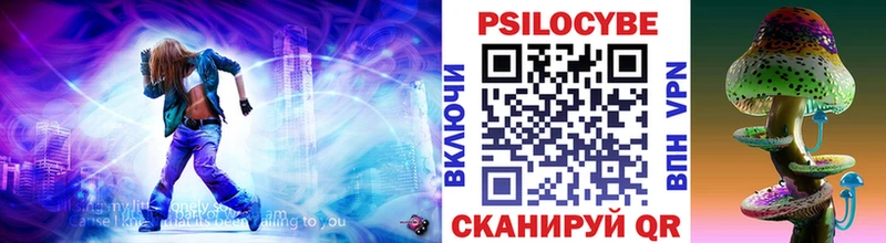 Псилоцибиновые грибы Psilocybe  Сковородино 