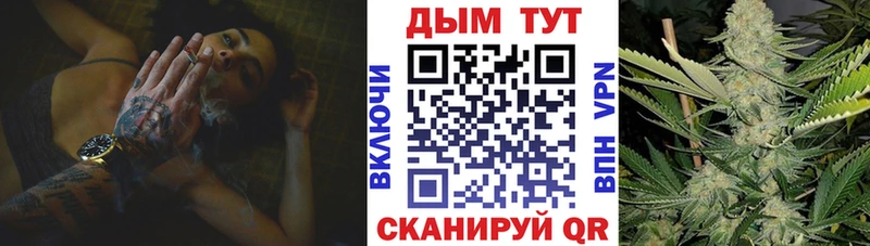 Марихуана планчик как найти наркотики Сковородино